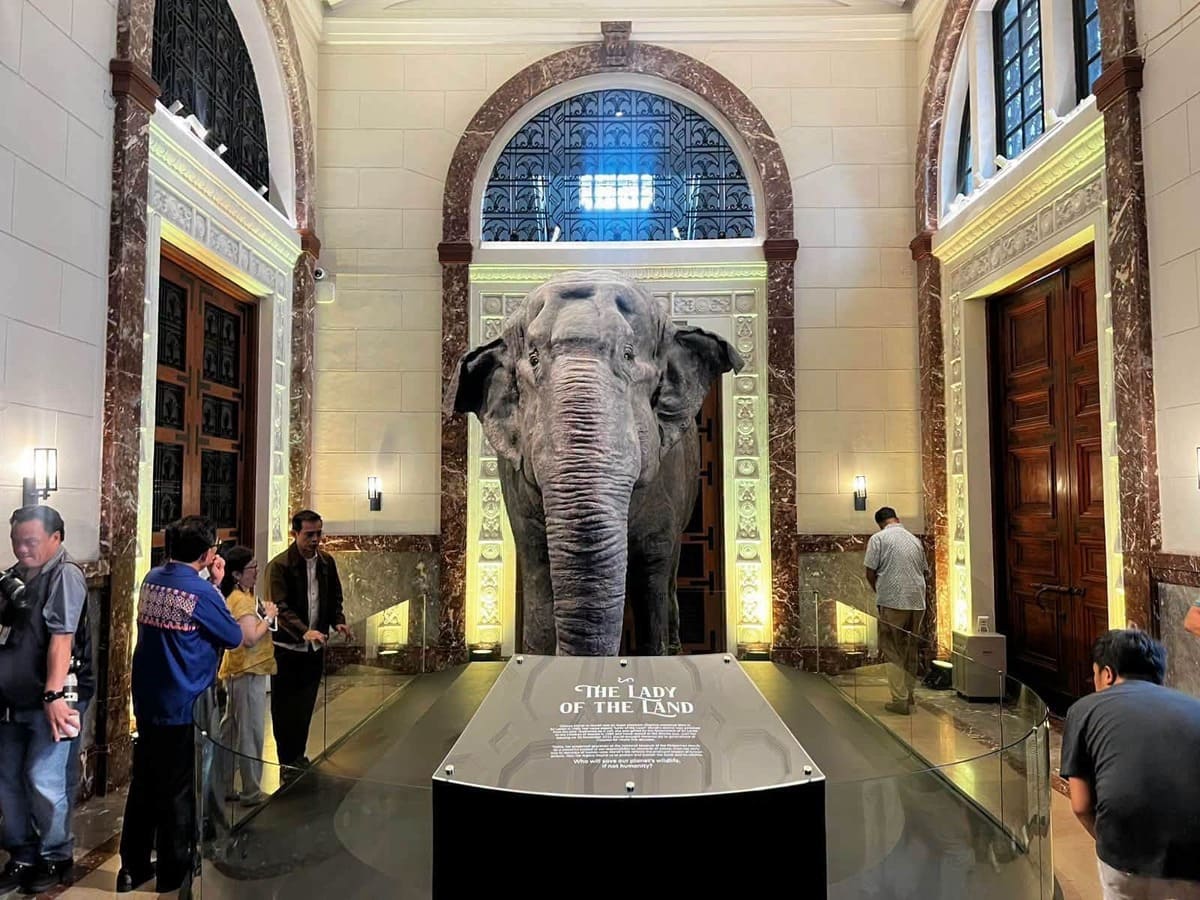 Photos courtesy of the Department of Tourism, Culture and Arts of Manila